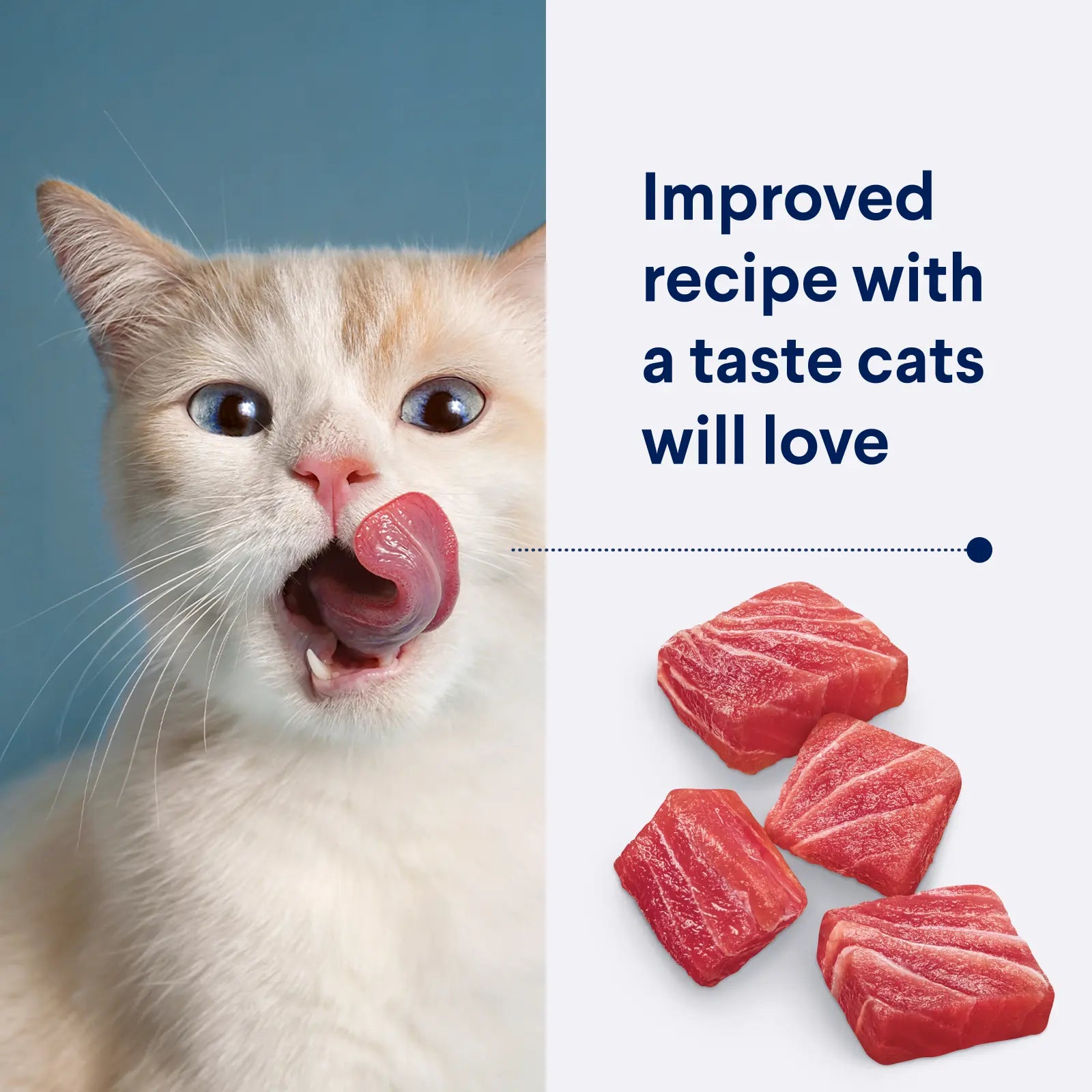 Advance Cat Adult Chicken And Ocean Fish 2kg