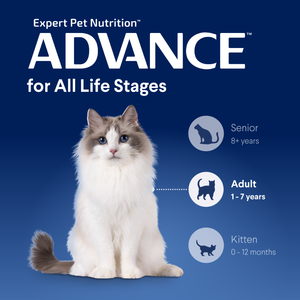 Advance Dry Cat Adult Hairball Chicken 1.5kg