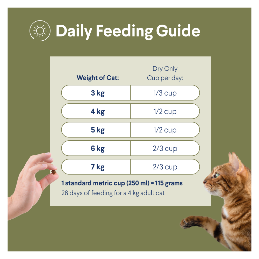 Advance Dry Cat Adult Hairball Chicken 1.5kg