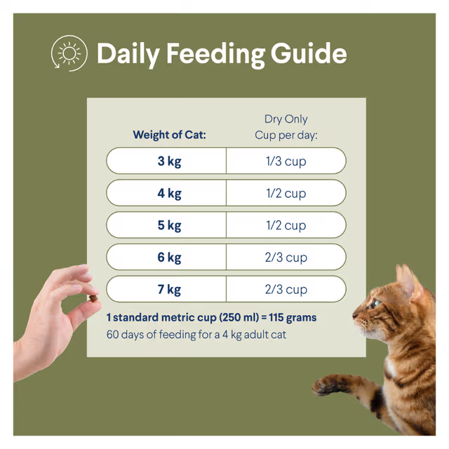 Advance Cat Indoor Chicken