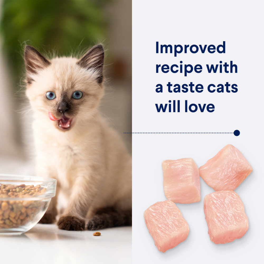 Advance Kitten Chicken