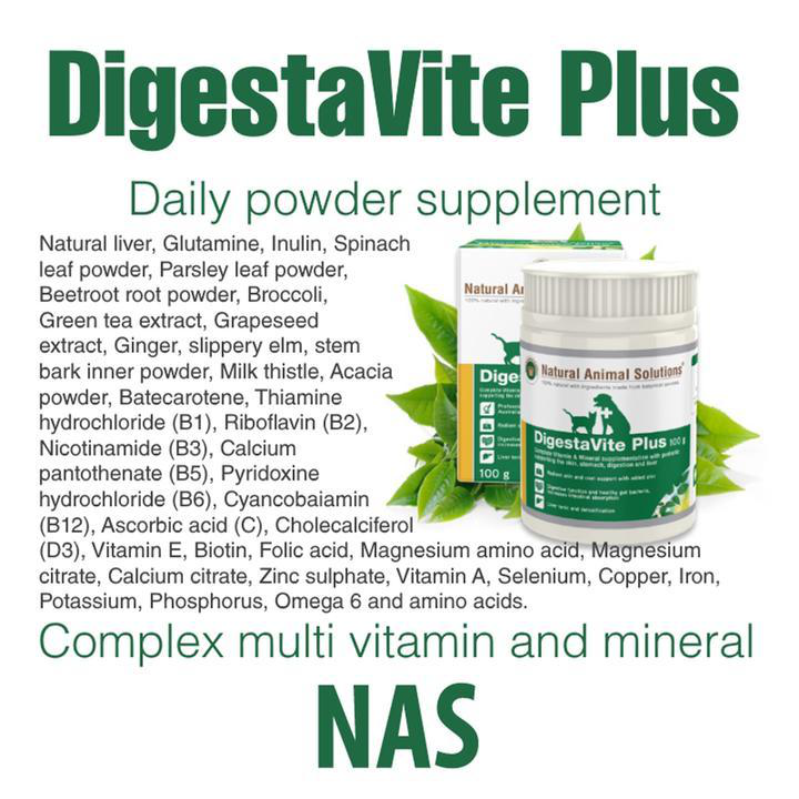 Digestavite Plus 100g