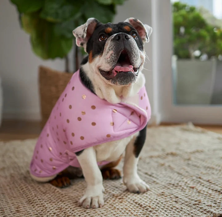 Kazoo Powder Puff Snuggie