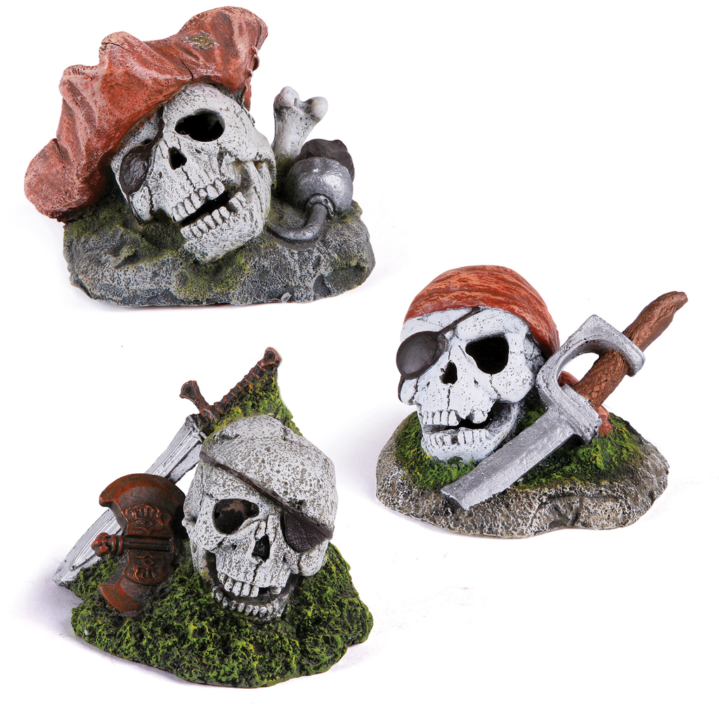 Pirate Skull Mini Assorted
