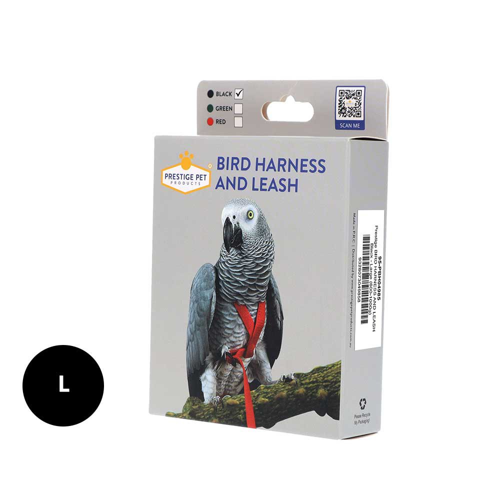 Bird Harness and Leash Black