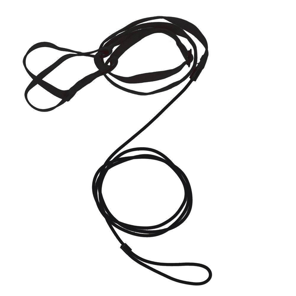 Bird Harness and Leash Black