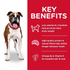 Science Diet Dog Dry Light 12kg