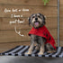 Adventure Dog Coat with Harness Hatch - Red