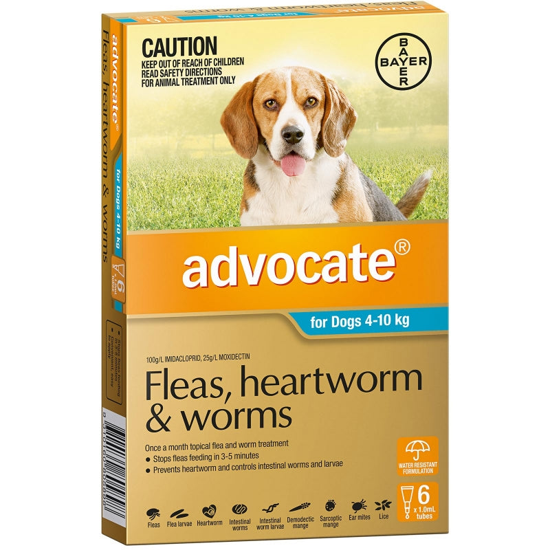 Advocate Dog