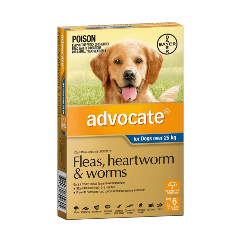 Advocate Dog