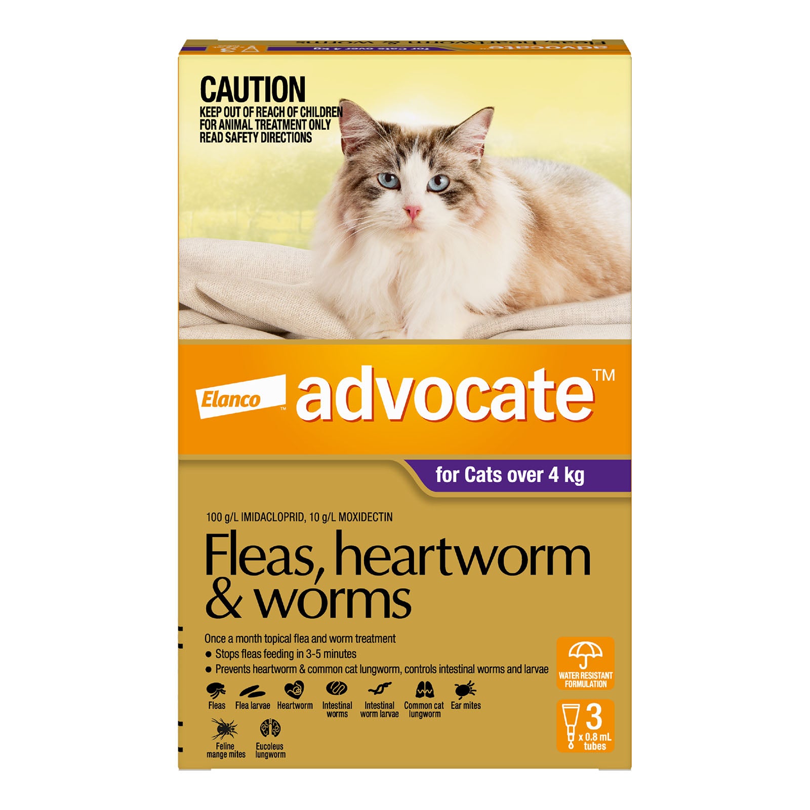Advocate Cat