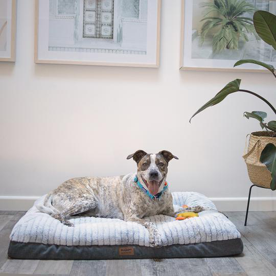 Bed Cloud Comfort Xl
