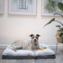 Bed Cloud Comfort Medium