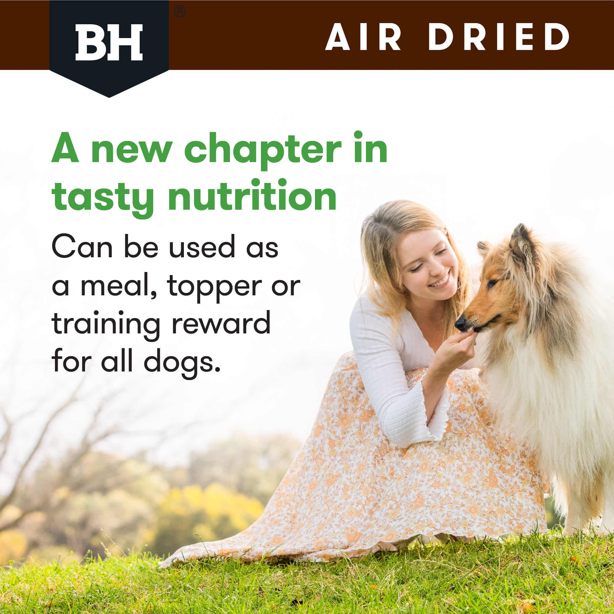Black Hawk Air Dried Chicken