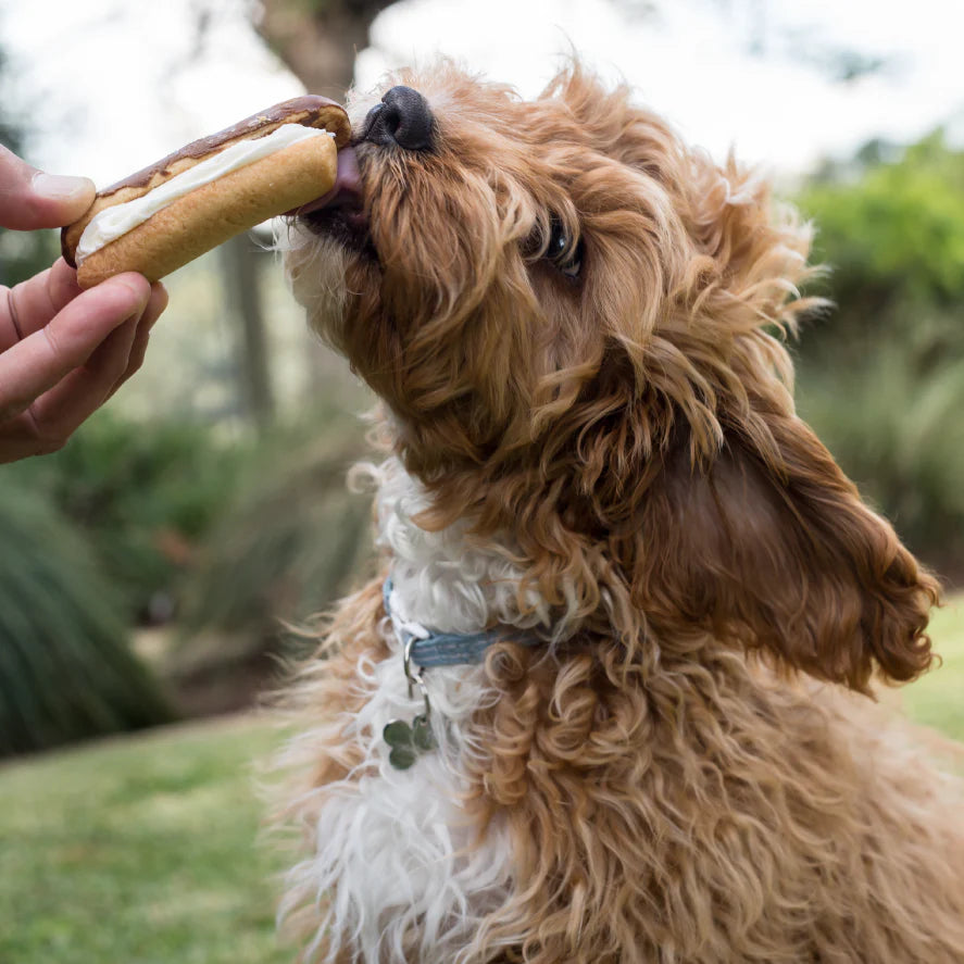 Barneys Barkery Dog Carob Eclair