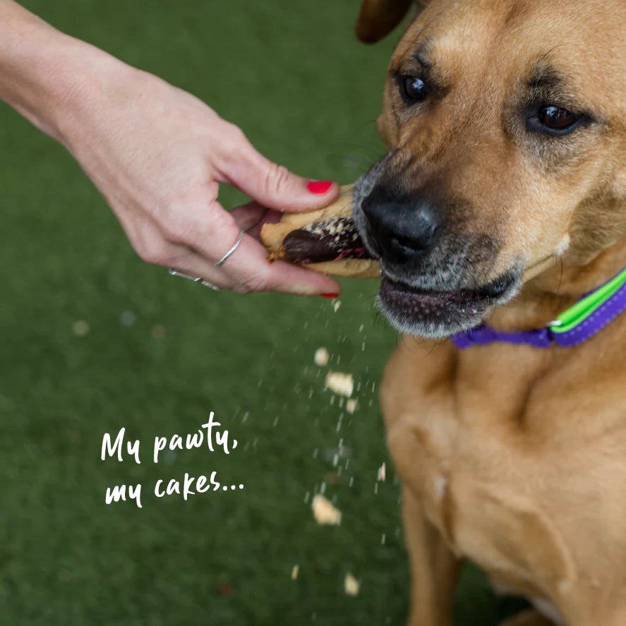 Barneys Barkery Dog Pawty Hot Dog