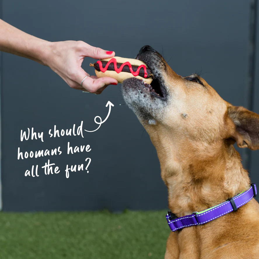 Barneys Barkery Dog Pawty Hot Dog
