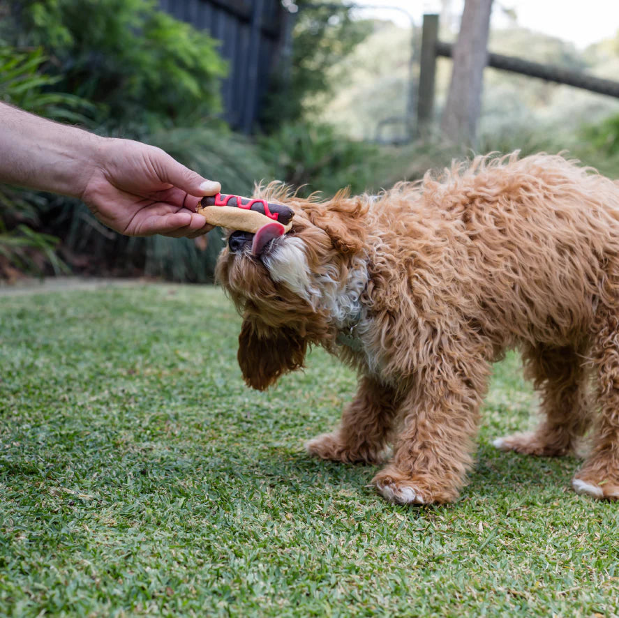 Barneys Barkery Dog Pawty Hot Dog