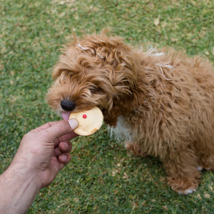 Barneys Barkery Dog Pawty Meat Pie
