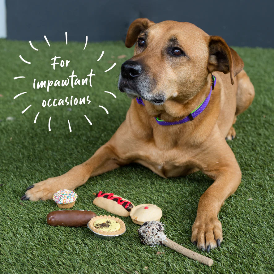 Barneys Barkery Dog Pawty Meat Pie