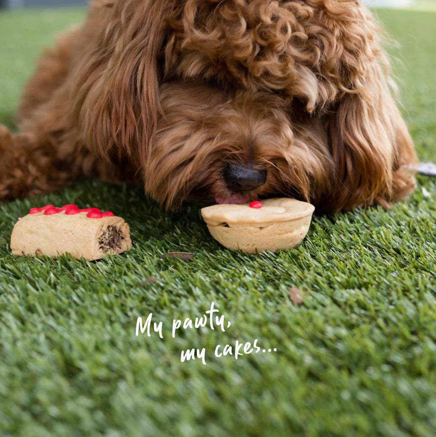 Barneys Barkery Dog Pawty Meat Pie