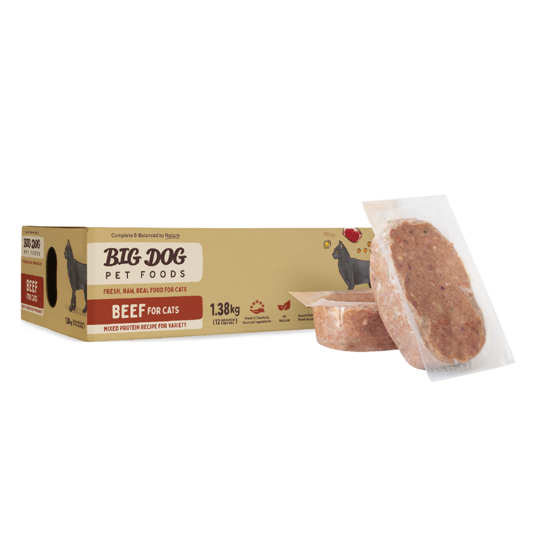 Big Dog Barf Cat Beef 1.38kg