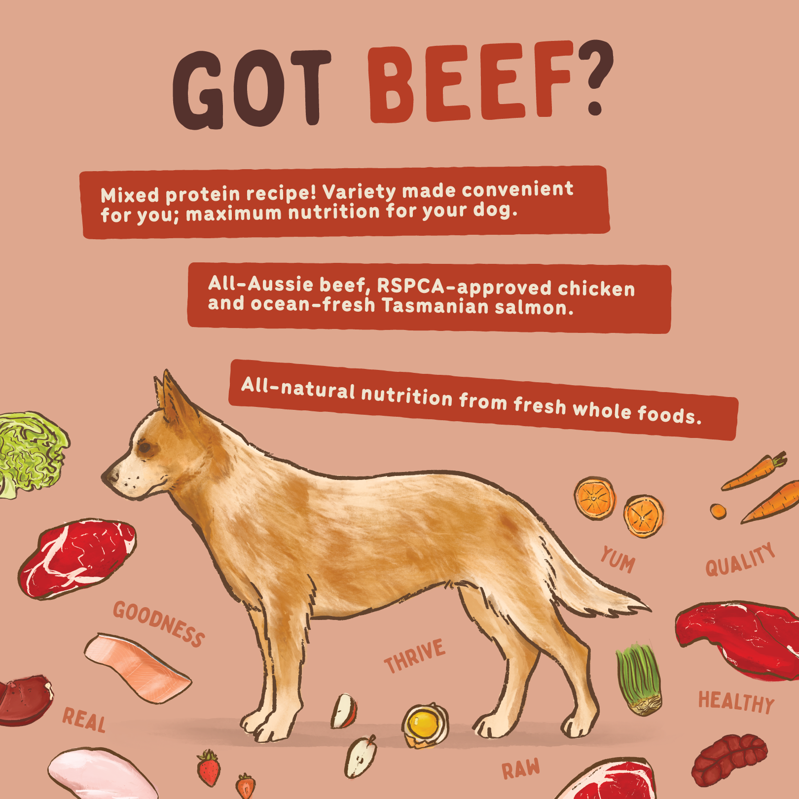 Big Dog Barf Dog Beef 3KG