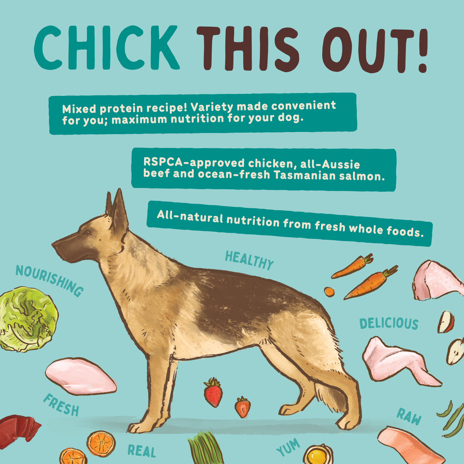 Big Dog Barf Dog Chicken 3KG