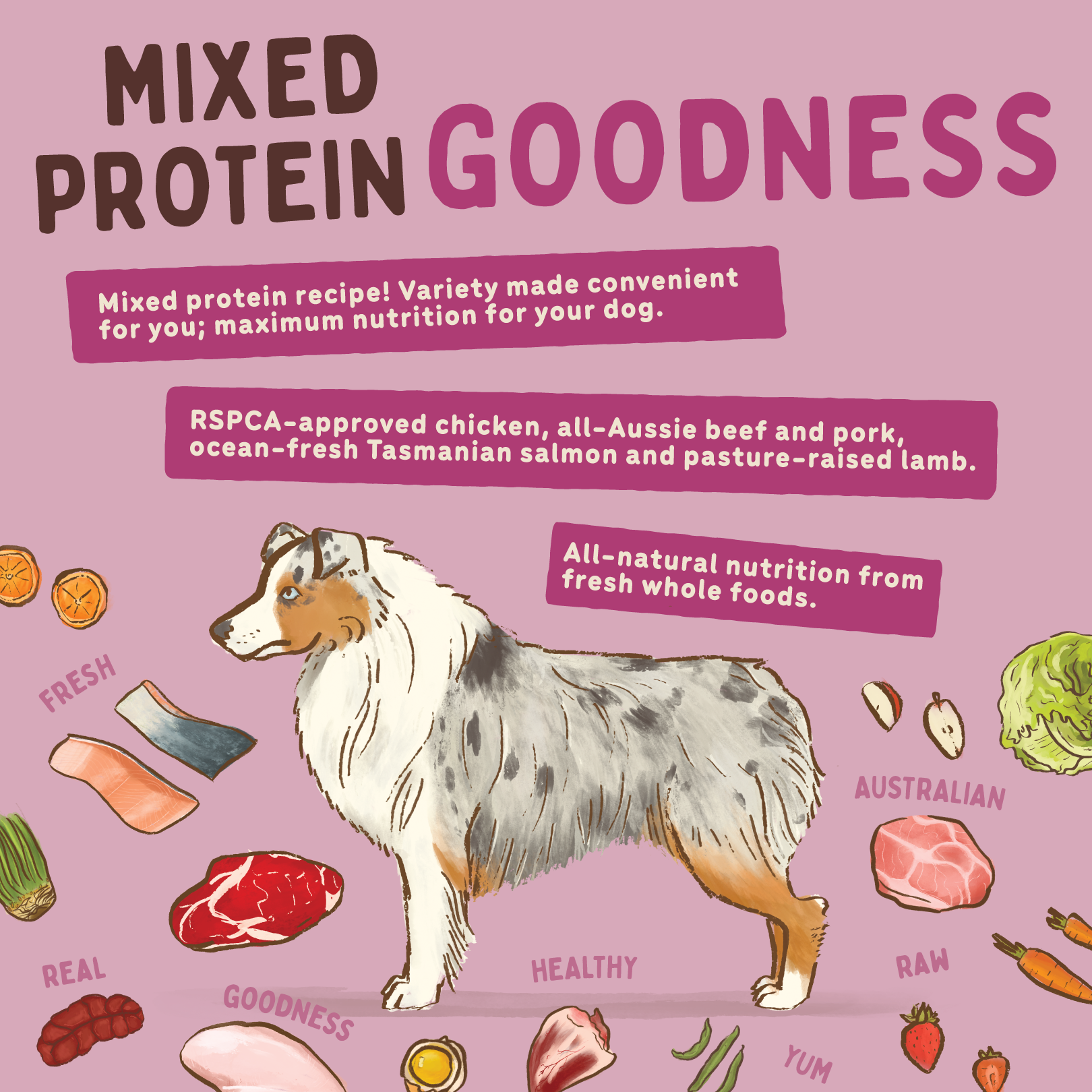 Big Dog Barf Dog Combo 3KG