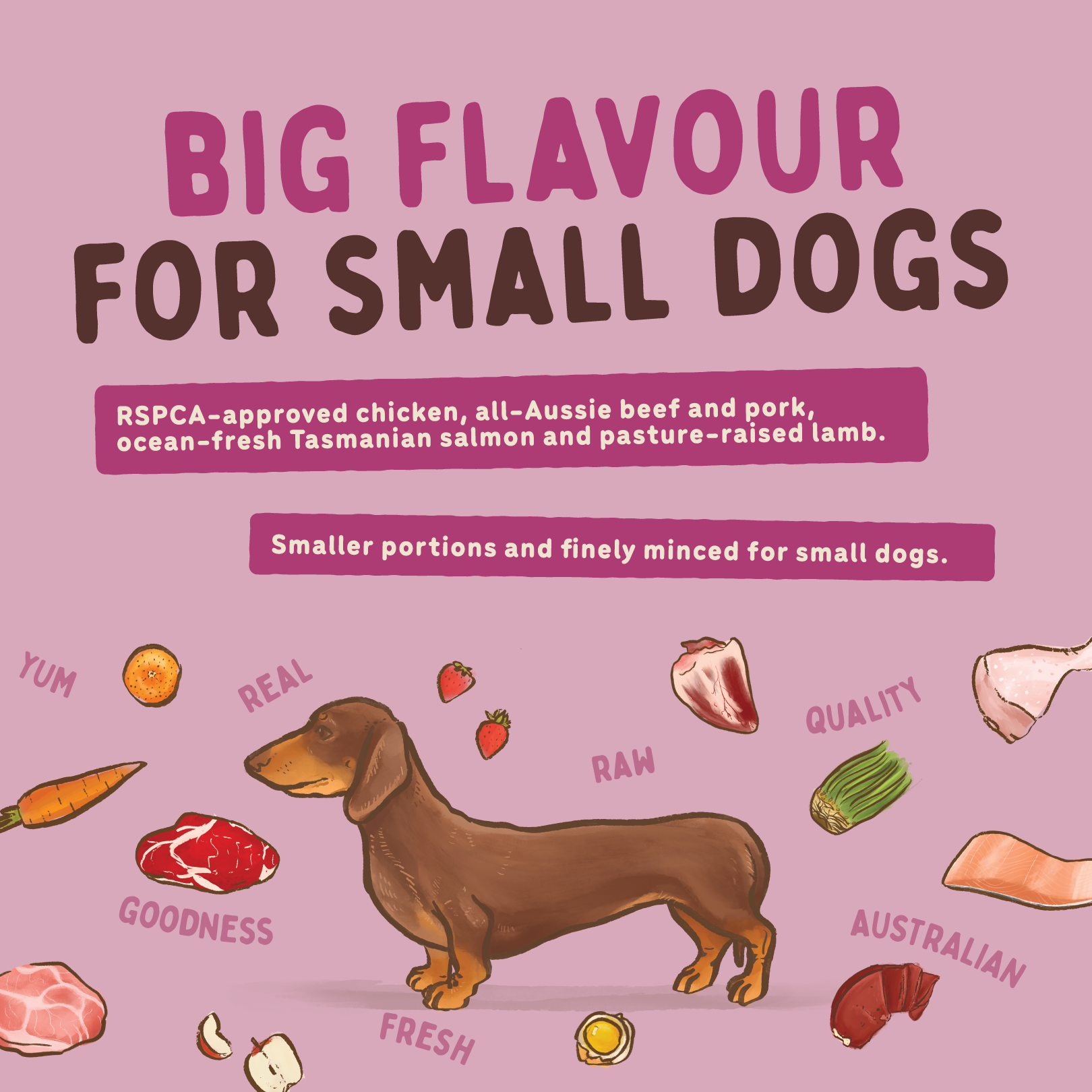 Big Dog Barf Dog Combo Small Dog 1.5KG