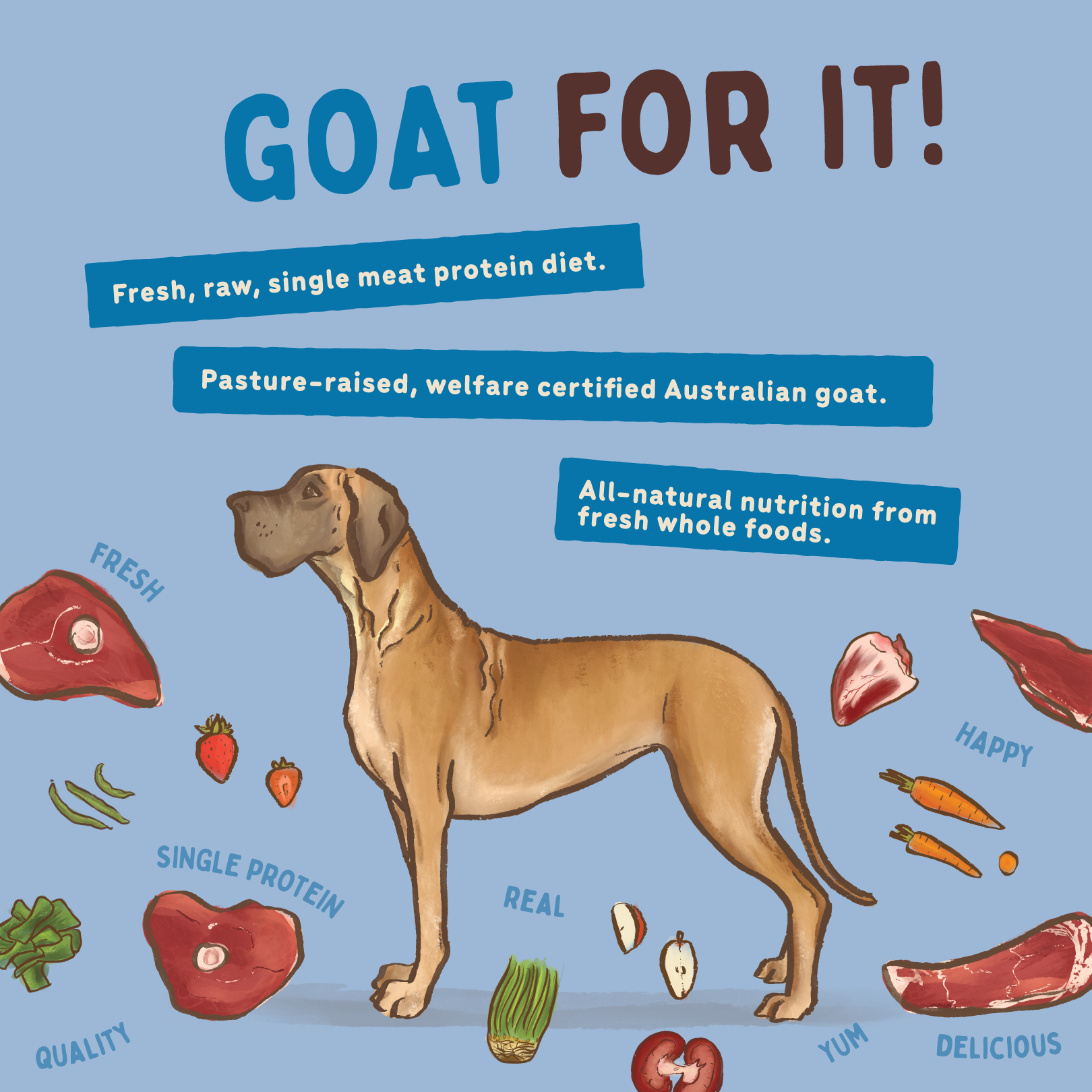 Big Dog Barf Dog Goat 3KG