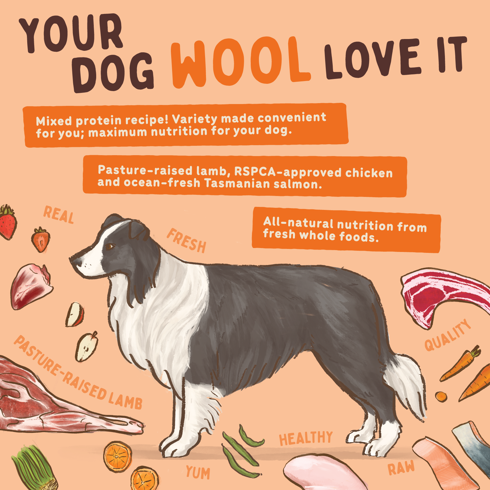 Big Dog Barf Dog Lamb 3KG