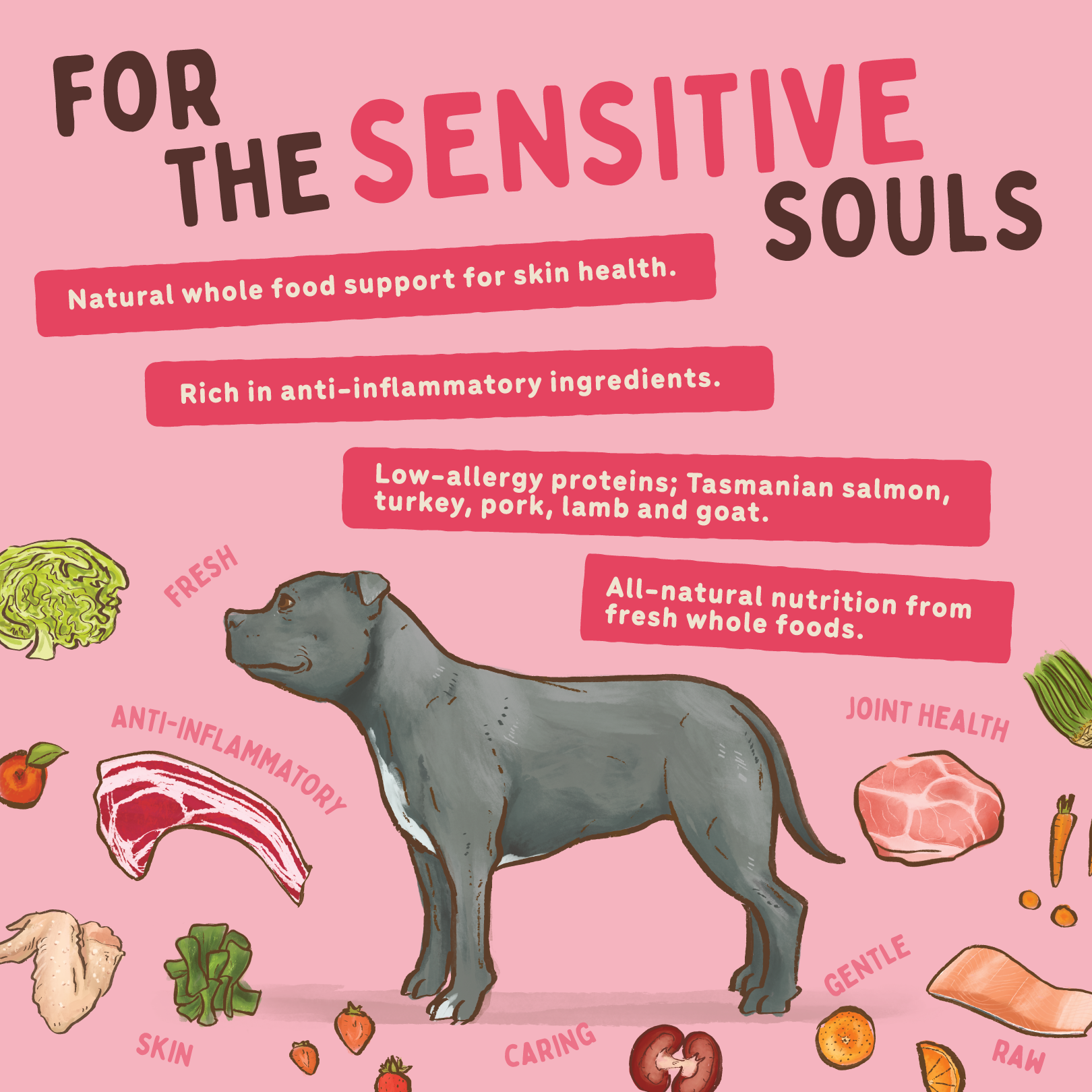 Big Dog Barf Dog Sensitive Skin 3KG