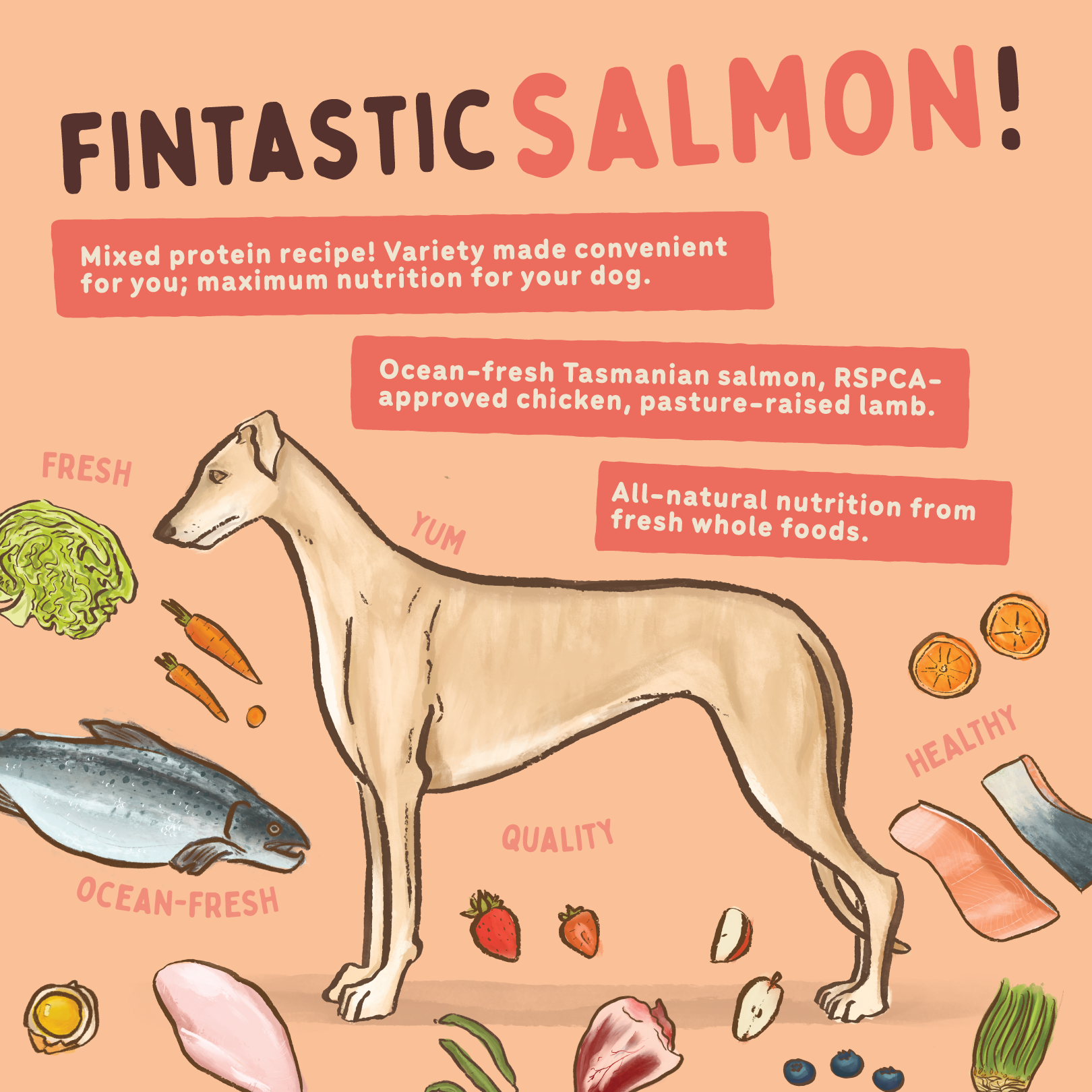 Big Dog Barf Dog Tasmanian Salmon 3KG