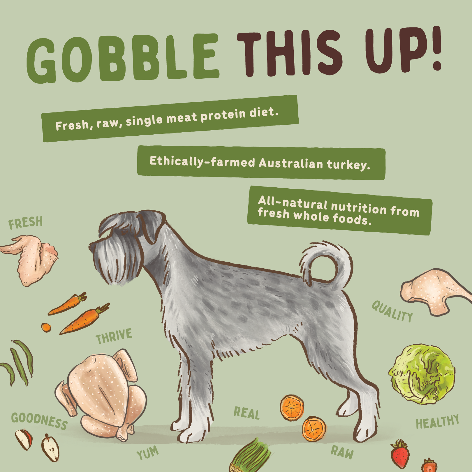 Big Dog Barf Dog Turkey 3KG