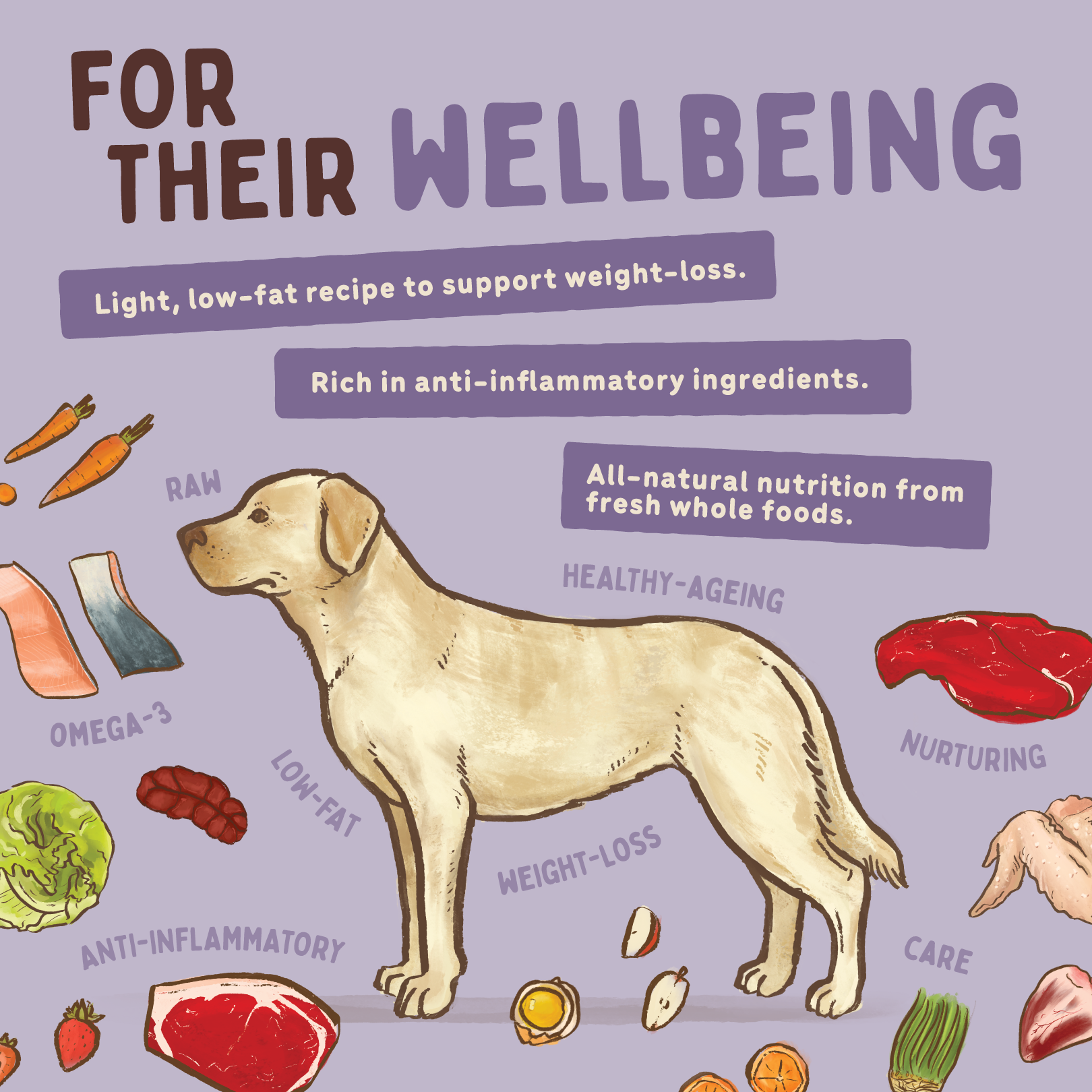 Big Dog Barf Dog Wellbeing 3KG