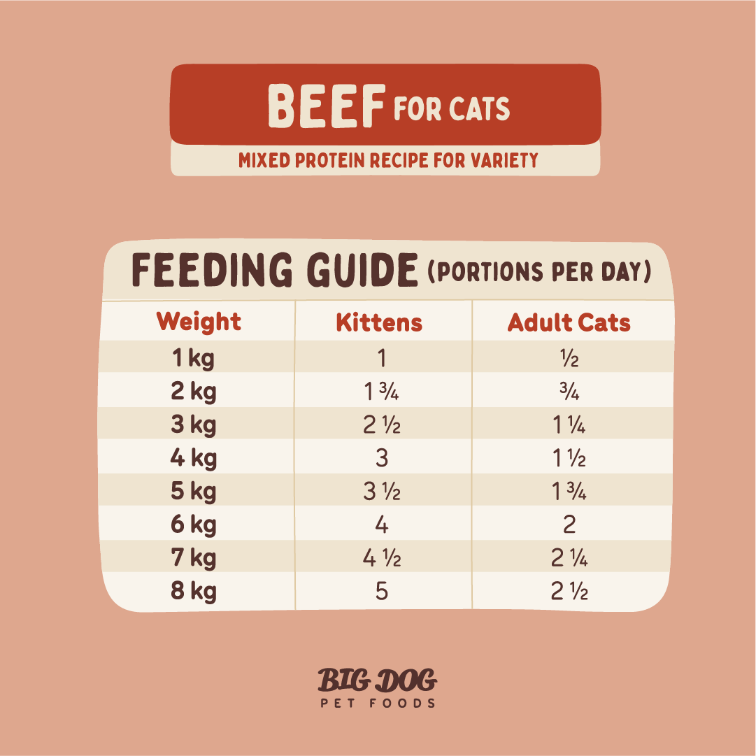 Big Dog Barf Cat Beef 1.38kg