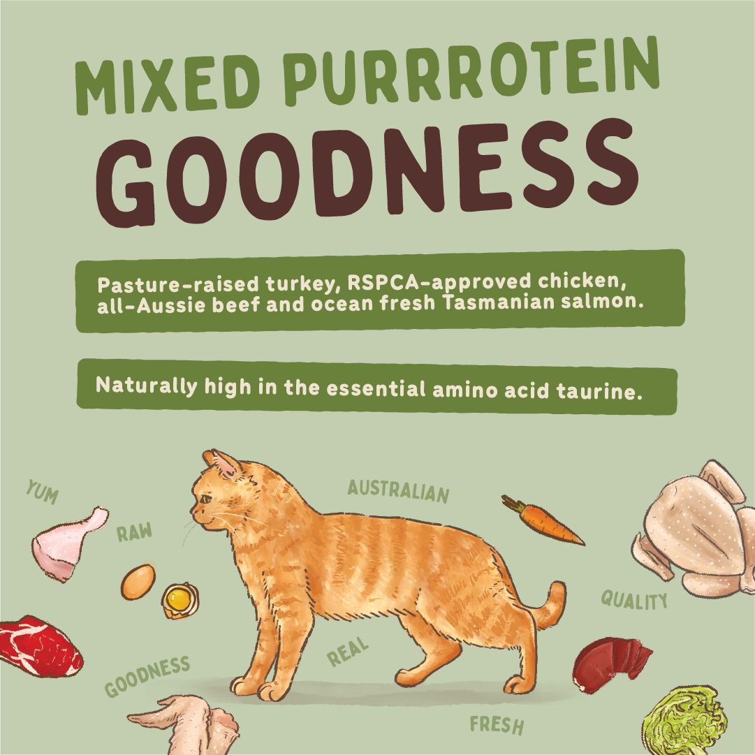 Big Dog Barf Cat Turkey 1.38KG