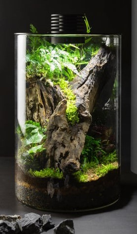 Bioscape Nano Moss Terrarium 200 Cylinder