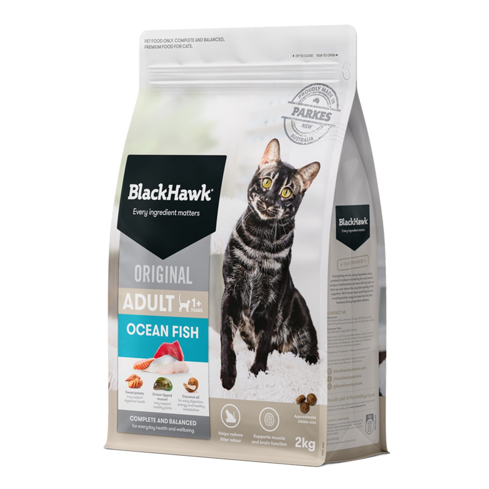 Black Hawk Cat Dry Ocean Fish