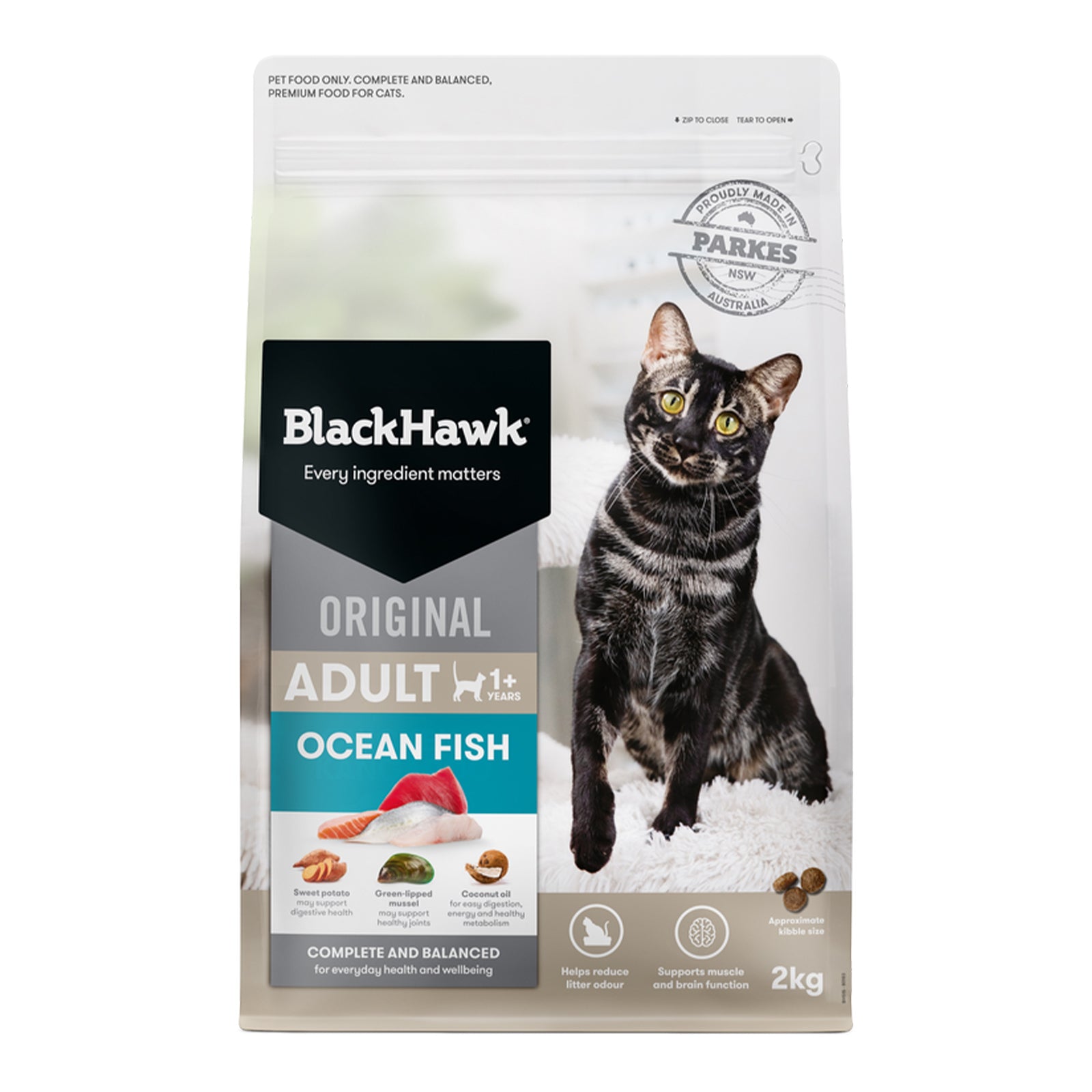 Black Hawk Cat Dry Ocean Fish