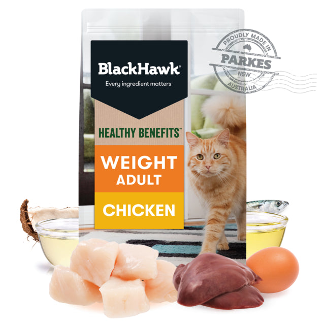 Black Hawk Cat Healthy Benefits Weight Management
