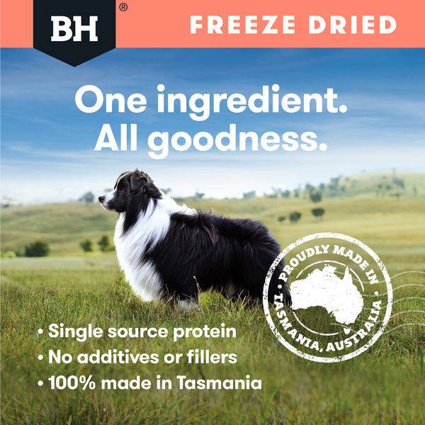 Black Hawk Freeze Dried Salmon 45g