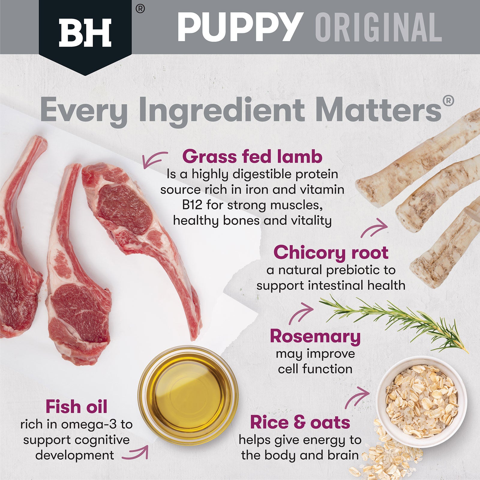 Black Hawk Puppy Small Breed Lamb