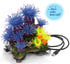Blue Tunicate Coral Assorted Medium
