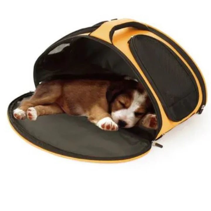 Bono Fido Bingo Carrier Orange