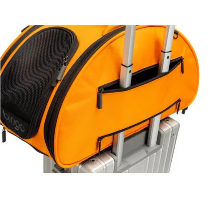 Bono Fido Bingo Carrier Orange