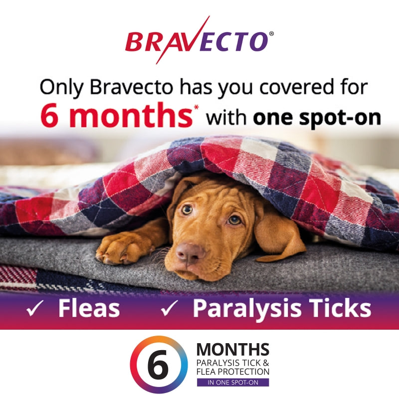 Bravecto Dog Spot On 20 - 40kg