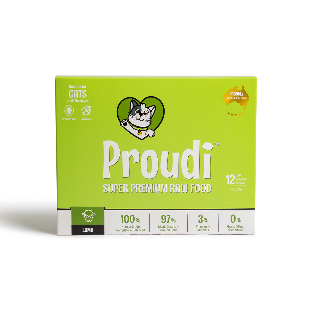Proudi CAT Lamb