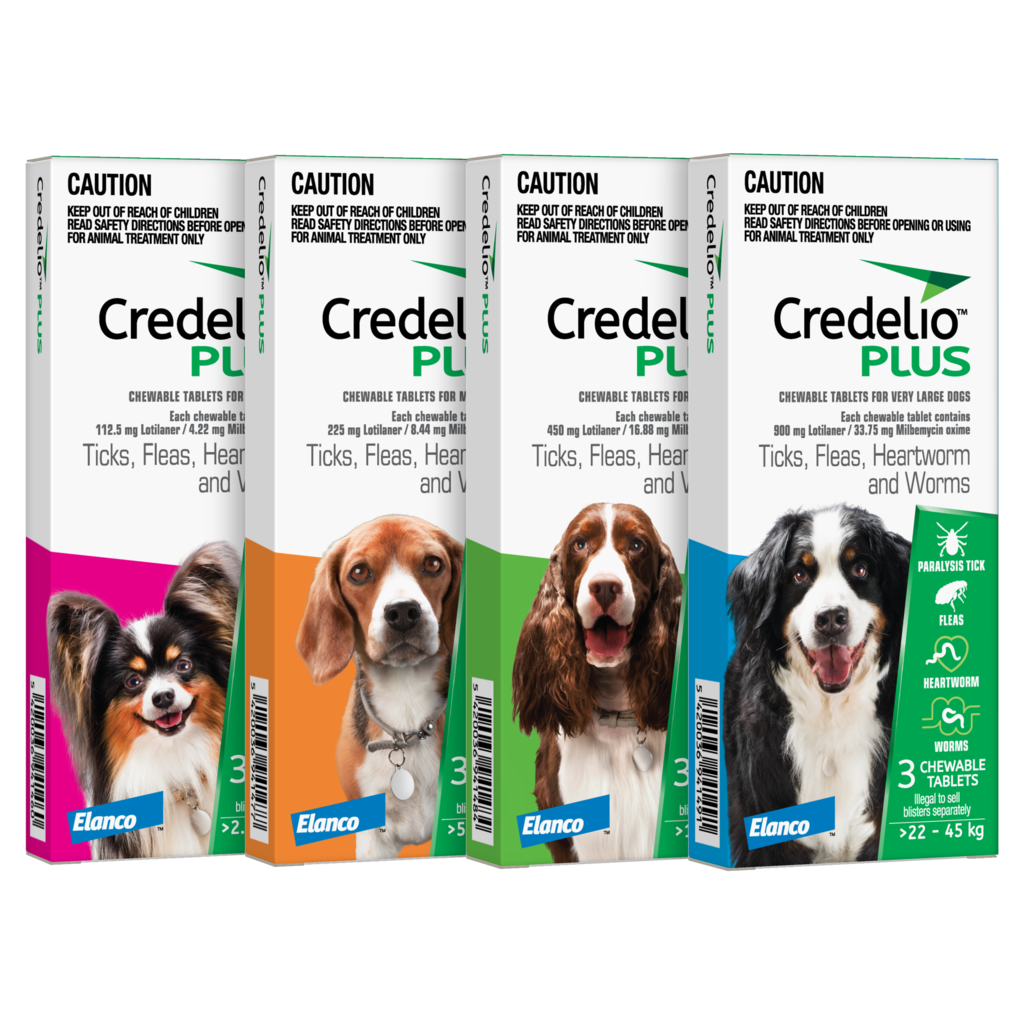 Credelio Plus